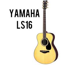 Acoustic Guitar LS16/LL16