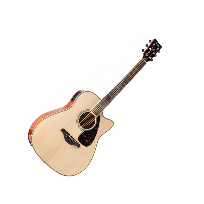 Electric Acoustic Guitar Fgx820