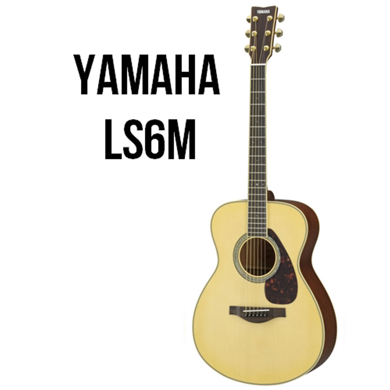 Acoustic Guitar Ls6M