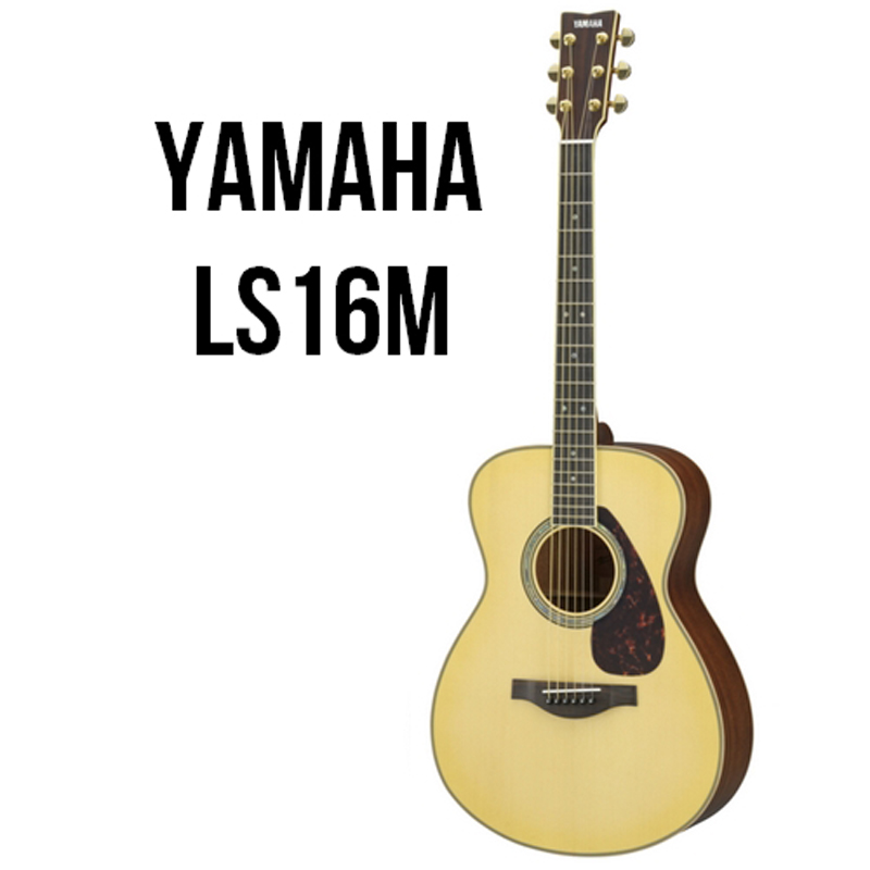 Acoustic Guitar Ls16M