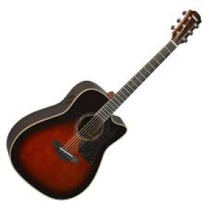 Electric Acoustic Guitar A3R