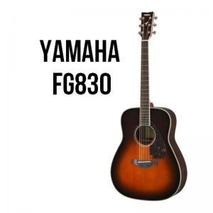 Folk Guitar Fg830