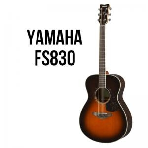 Folk Guitar Fs830