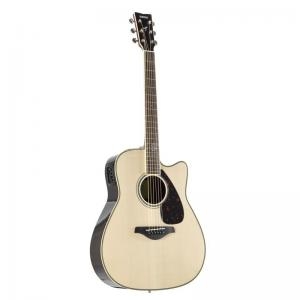 Electric Acoustic Guitar Fgx830