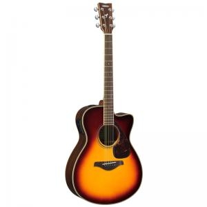 Electric Acoustic Guitar Fsx830
