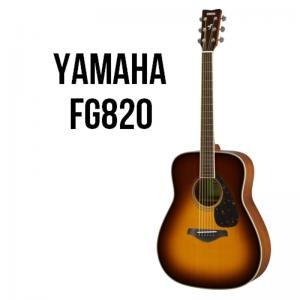 Folk Guitar Fg820