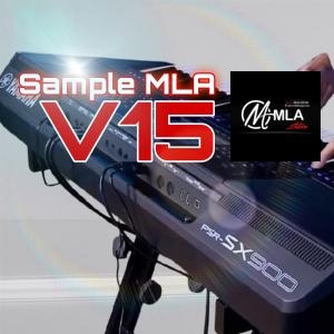 Sample MLA V15 SX900