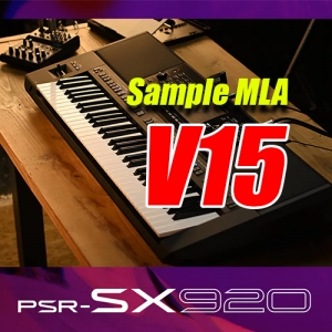 Sample V15 SX 920
