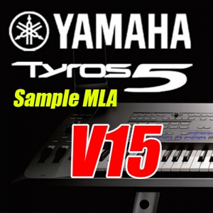 Sample V15 Tyros 5