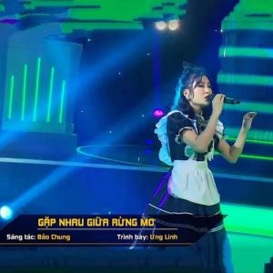 Gặp Nhau Giữa Rừng Mơ