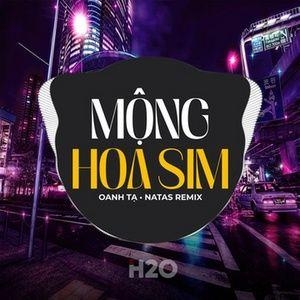 Mộng Hoa Sim