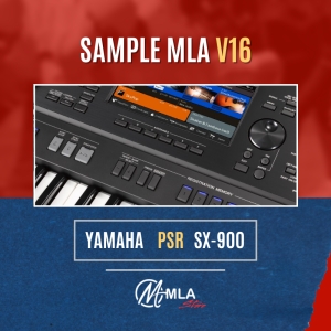 SAMPLE V16 SX 900