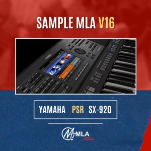 SAMPLE V16 SX920