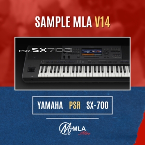 MLA V14 SX700