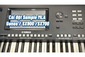 Bước 2 || Hướng Dẫn Cài đặt Sample MLA Cho đàn Genos /SX900/SX700 || Sample MLA